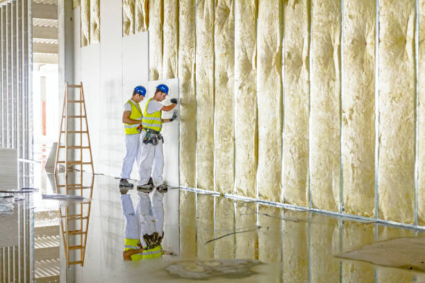 Best Types of Insulation in Quail Ridge, FL